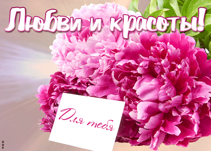 Картинка открытка с пионами с текстом