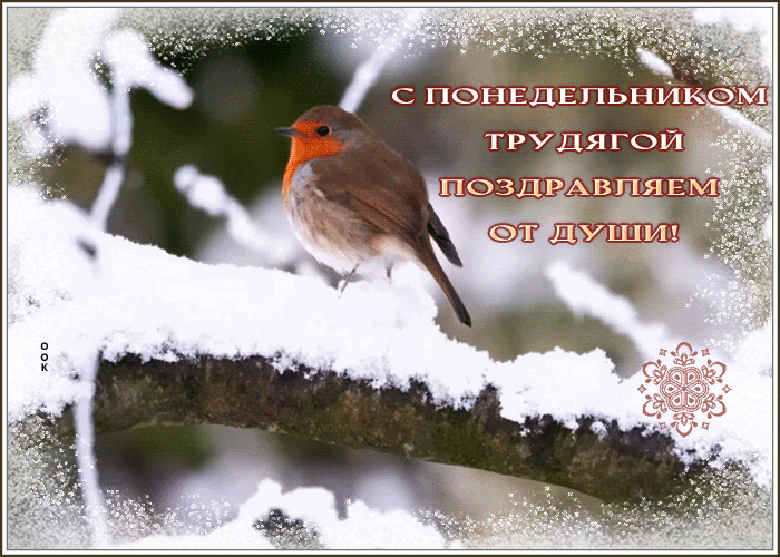 Postcard открытка с понедельником трудягой поздравляю от души