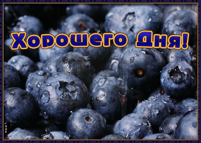 Картинка открытка с пожеланием хорошего дня