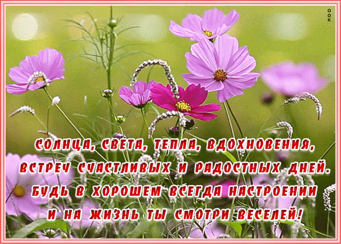 Картинка открытка с пожеланиями в стихах