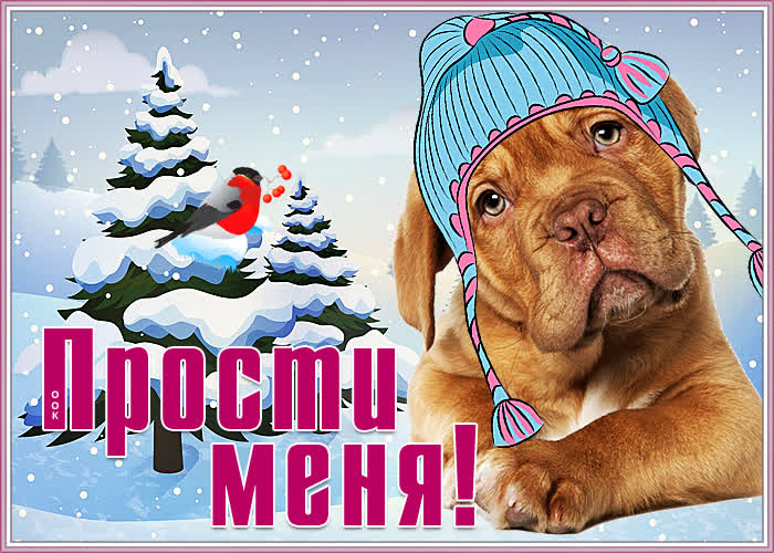 Картинка открытка с просьбой простить