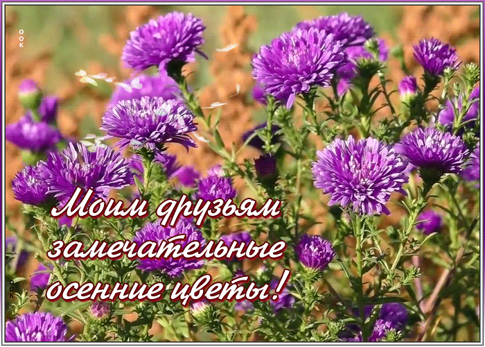 Открытка открытка с цветами для моих друзей
