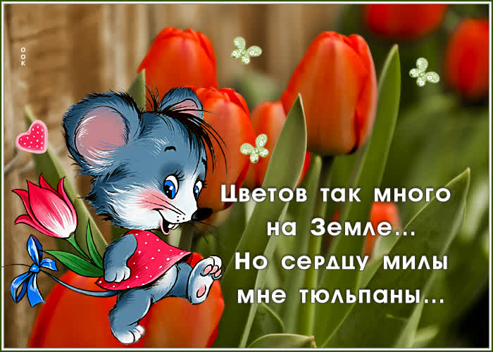 Картинка открытка с цветами и красивыми словами