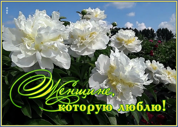 Открытка открытка с цветами любимой