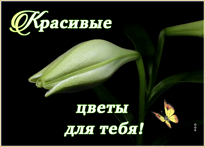 Картинка открытка с цветами от всей души