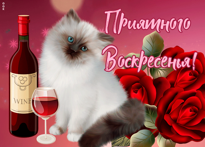 Открытка открытка с воскресеньем с котиком