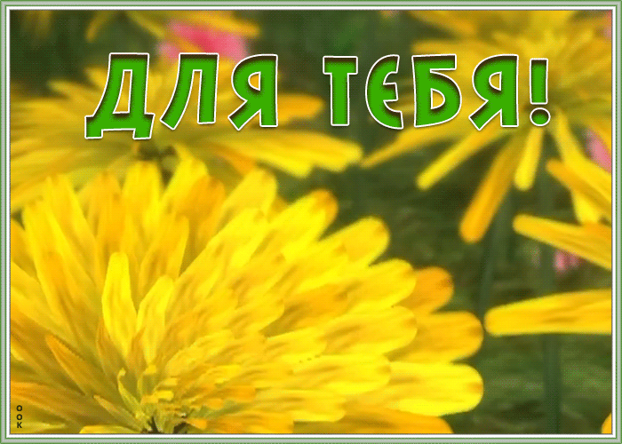 Картинка открытка с яркими цветами