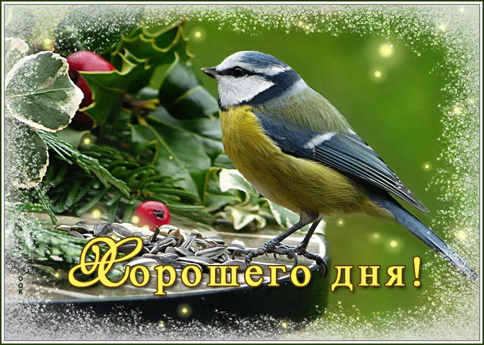 Картинка открытка счастливого дня