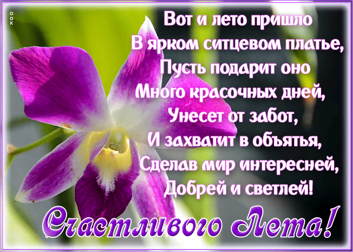 Картинка открытка счастливого лета