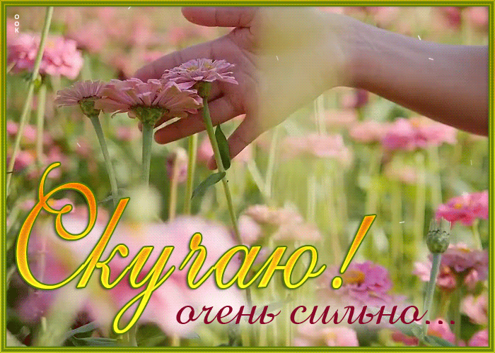 Postcard открытка скучаю очень сильно, с цветочной поляной