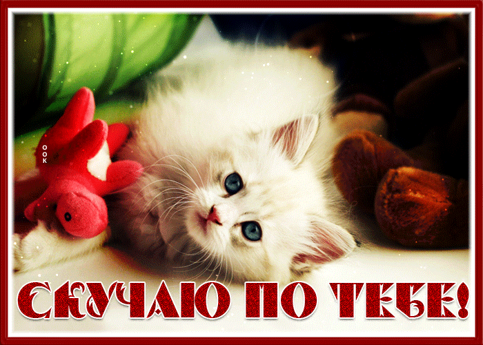 Picture открытка скучаю по тебе с чудесной кошечкой