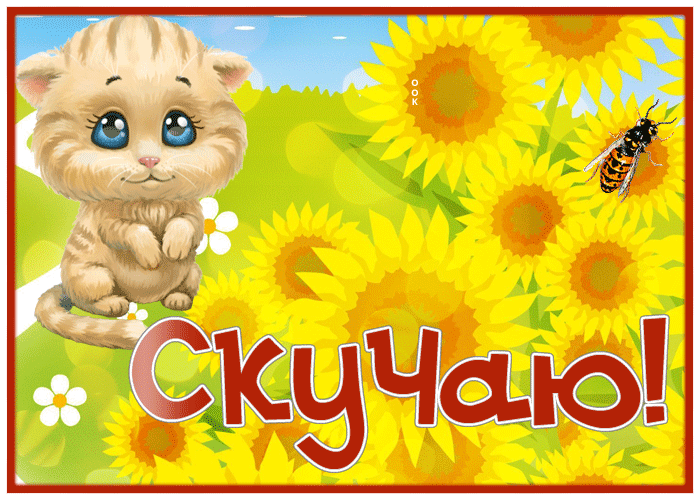 Postcard открытка скучаю с котиком и подсолнухами