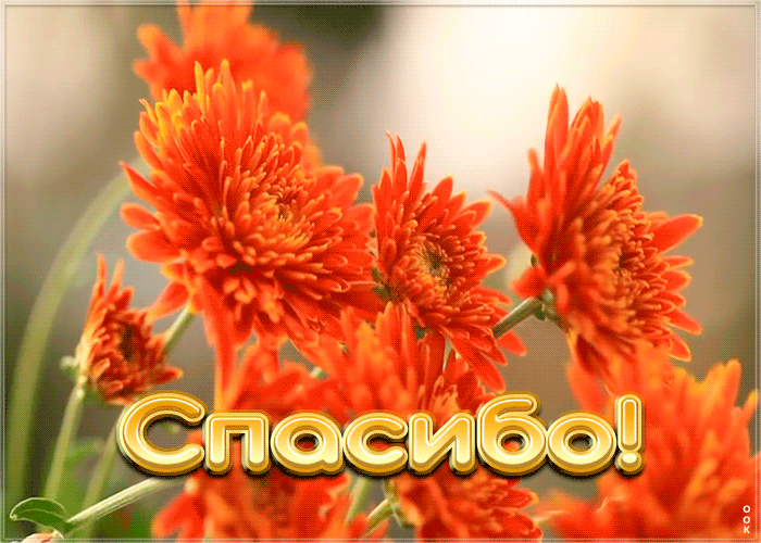 Открытка открытка спасибо большое