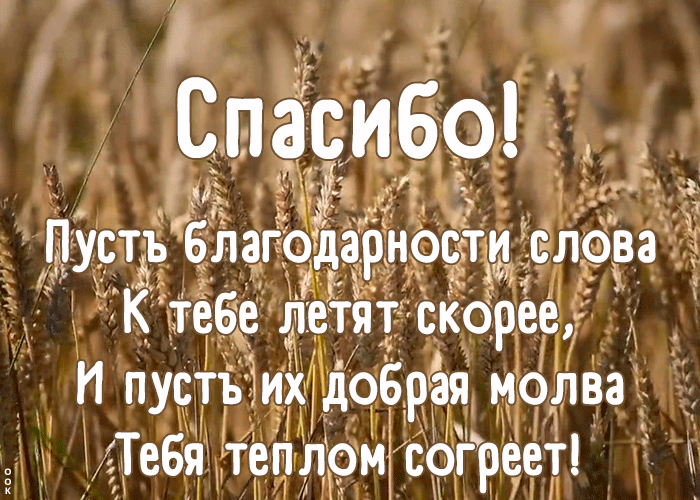 Открытка открытка спасибо с текстом