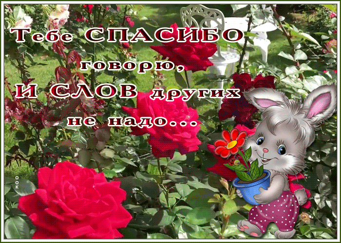 Открытка открытка спасибо тебе огромное