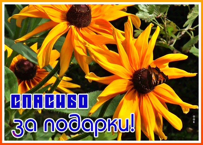 Картинка открытка спасибо за подарки