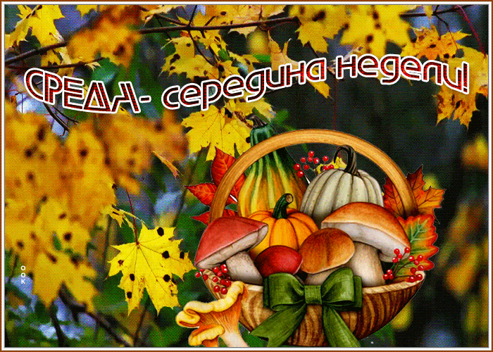 Picture открытка среда - середина недели