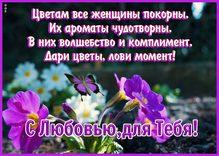 Картинка открытка тебе от меня цветы