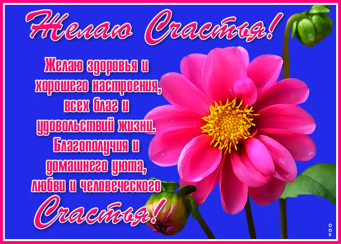 Открытка открытка цветы счастья