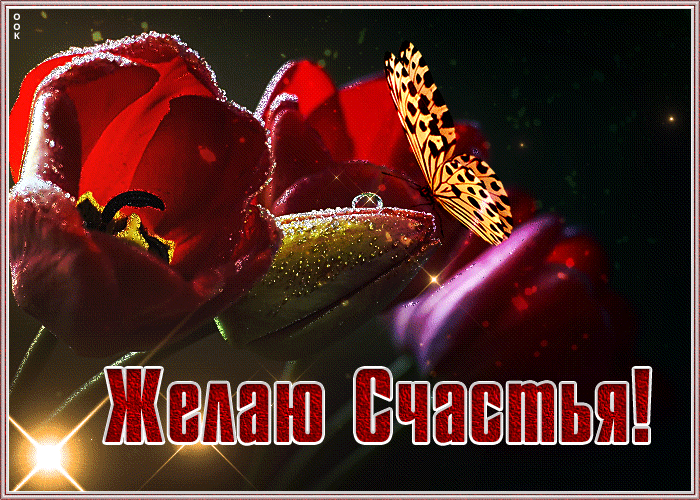 Картинка открытка цветы тебе на счастье