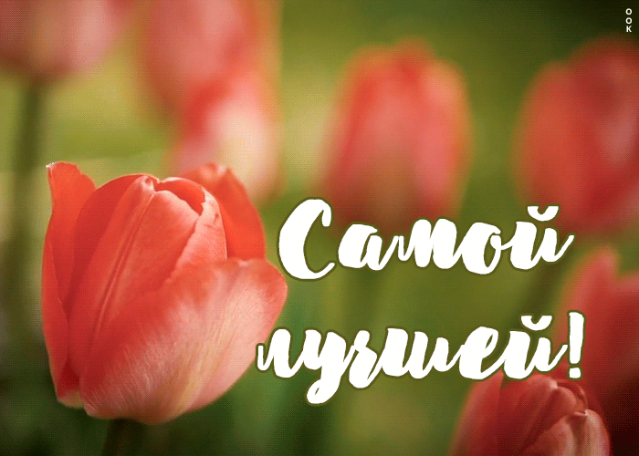 Открытка открытка тюльпаны самой лучшей