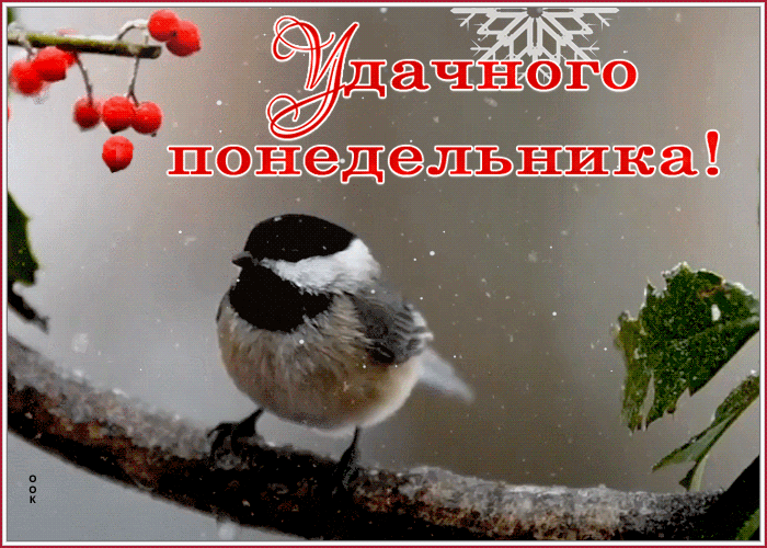 Картинка открытка удачного зимнего понедельника