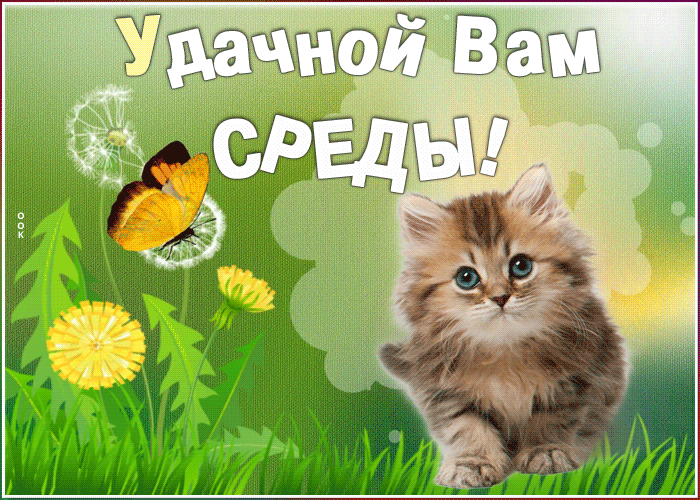 Открытка открытка удачной среды