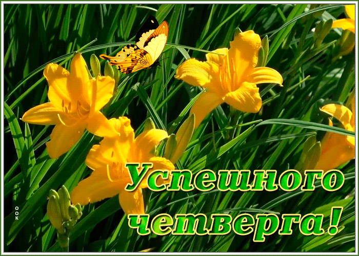 Postcard открытка успешного четверга с яркими цветами