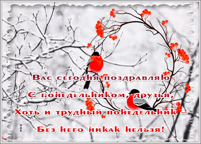 Picture открытка вас сегодня поздравляю с понедельником