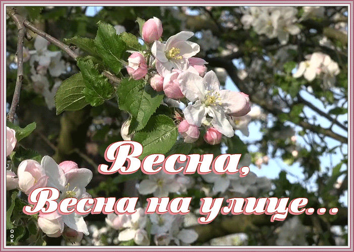 Открытка открытка весна на улице
