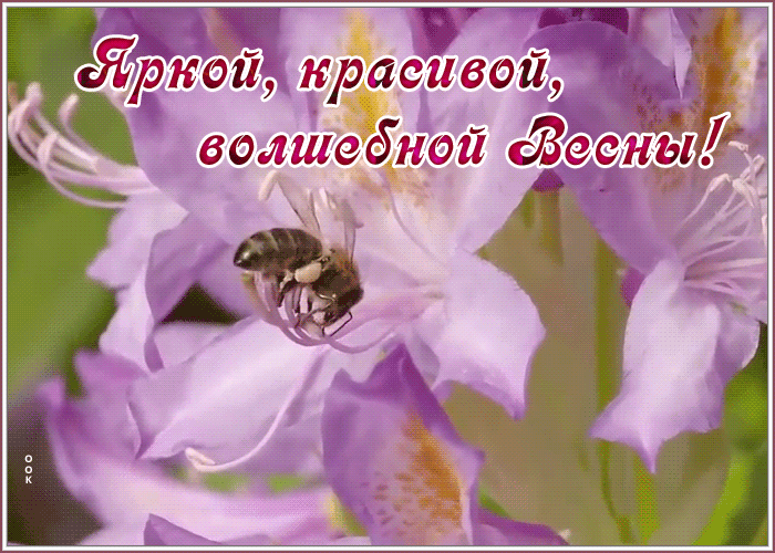 Картинка открытка волшебной весны