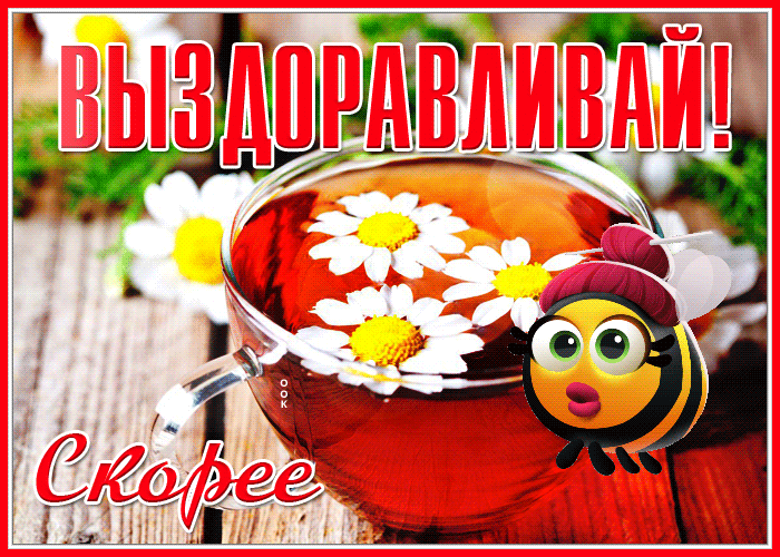 Открытка открытка выздоравливай с ромашками