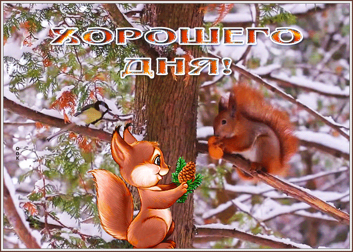 Postcard открытка хорошего дня с лесными белочками