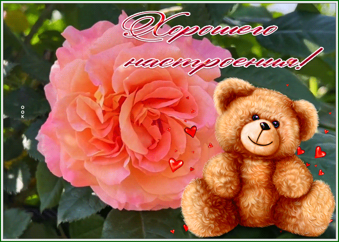 Postcard открытка хорошего настроения с мишкой и розой