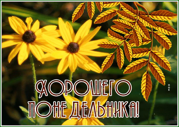 Postcard открытка хорошего понедельника с осенними цветами