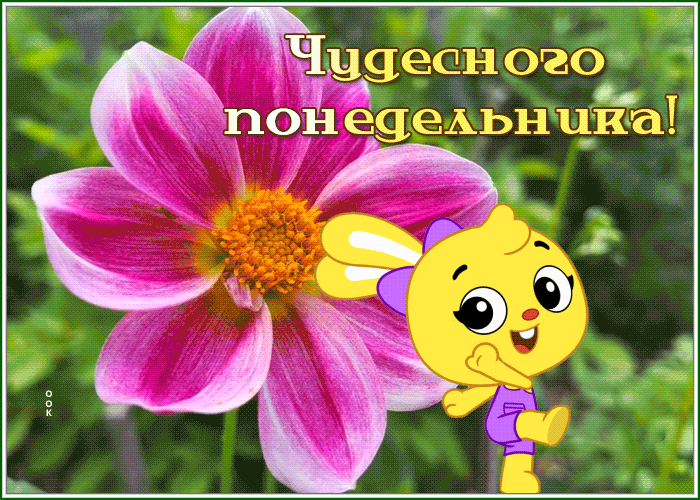 Picture открытка хорошего понедельника с танцующим зайкой