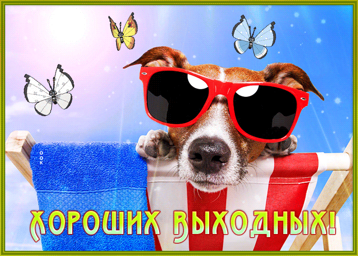Postcard открытка хороших выходных с забавным песиком