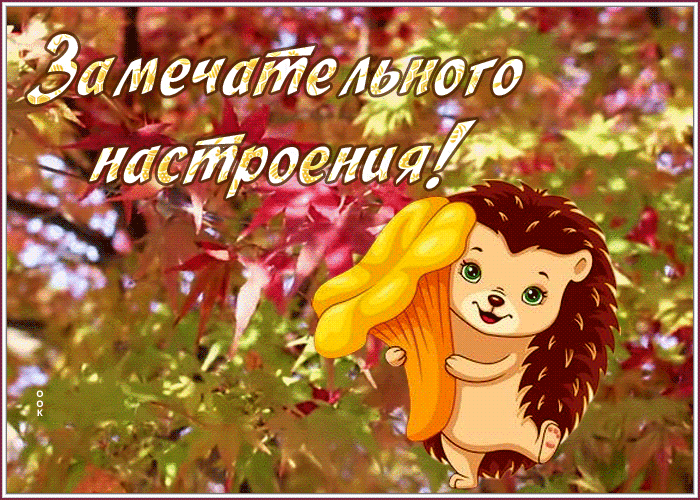 Картинка открытка замечательного настроения с хорошеньким ежиком