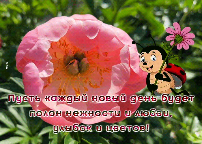 Postcard открытка желаю много нежности, улыбок и цветов