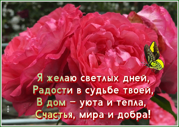 Postcard открытка желаю радости и светлых дней