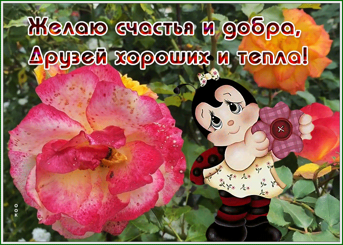 Postcard открытка желаю счастья и добра, друзей хороших и тепла