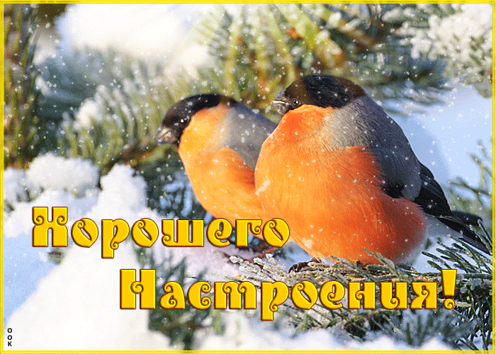 Картинка отличная открытка для настроения