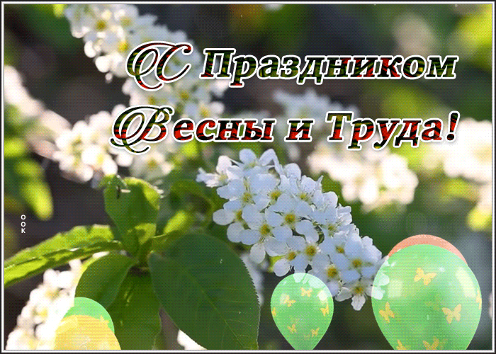 Postcard отличная картинка с 1 мая