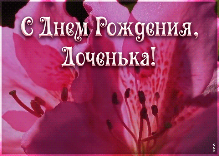 Картинка плейкаст с днём рождения дочери