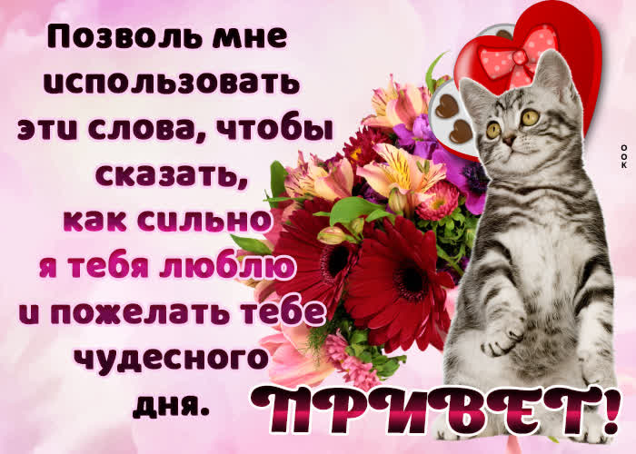 Postcard поэтическая открытка шлет привет и желает чудесного дня