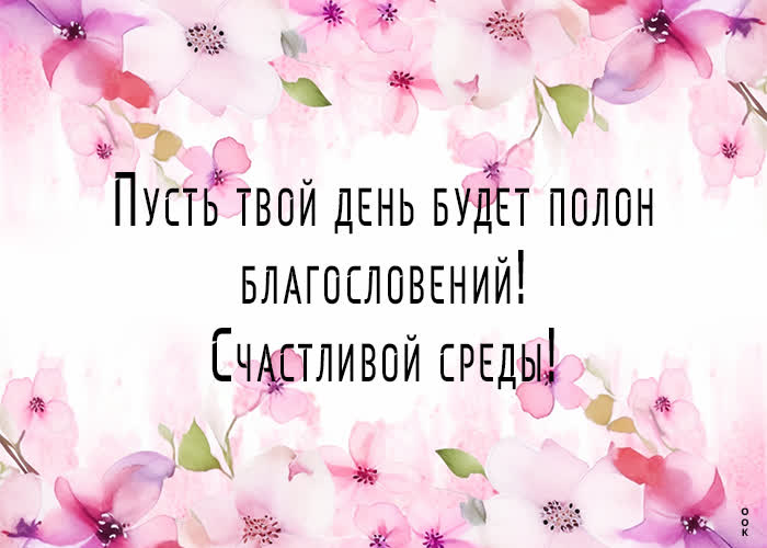 Picture поистине особенная открытка, пусть среда будет благословенна