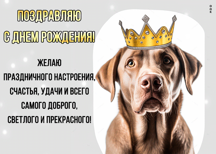 Postcard поздравляю с днем рождения! желаю праздничного настроения