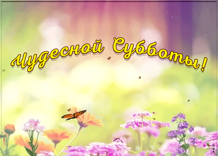 Открытка пожелание чудесной субботы