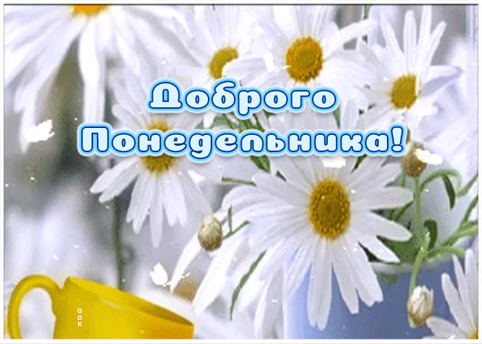Картинка пожелание доброго понедельника
