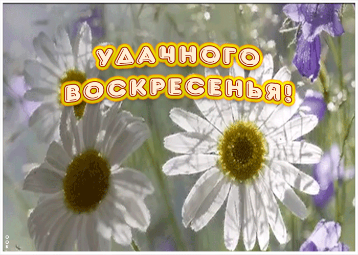 Открытка пожелание удачного воскресенья